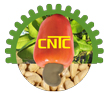 CNTC