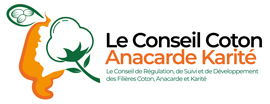 CCA