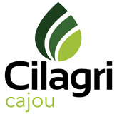 Cilagri Cajou